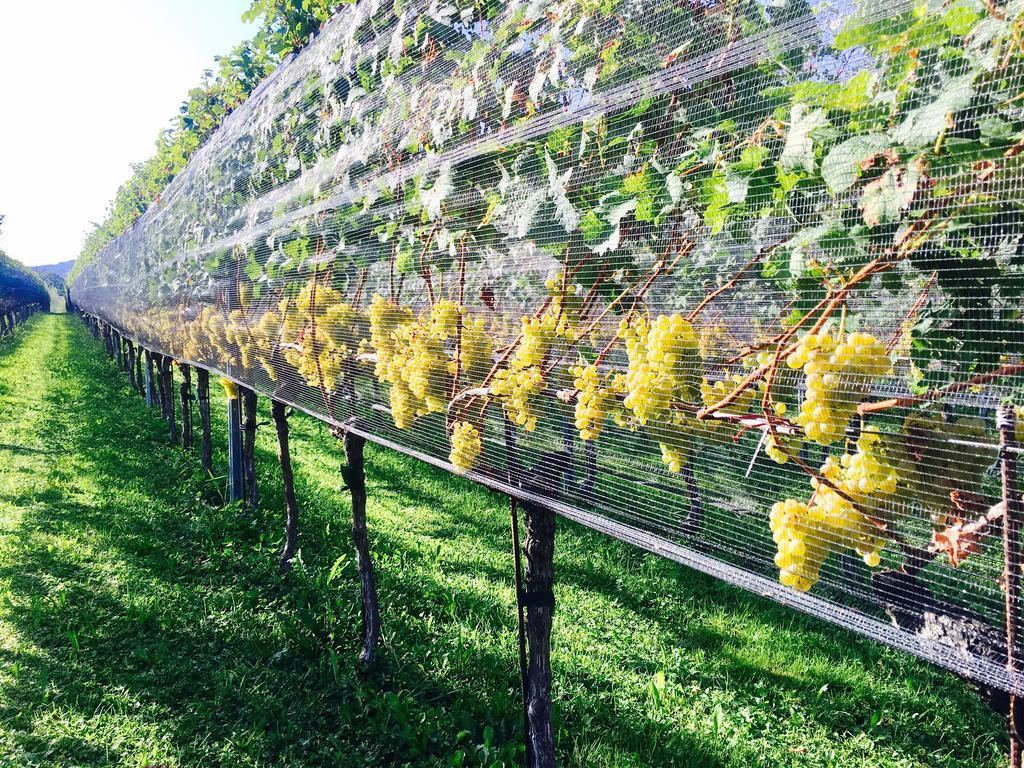 Appartamento Tiemi Coldrerio Ngoại thất bức ảnh